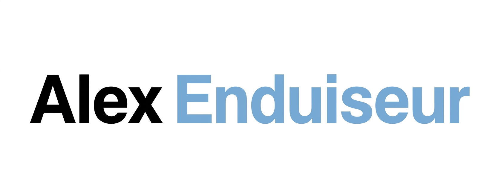 logo Alex Enduiseur